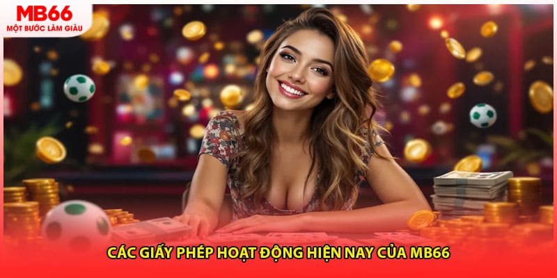 Các giấy phép hoạt động hiện nay của MB66