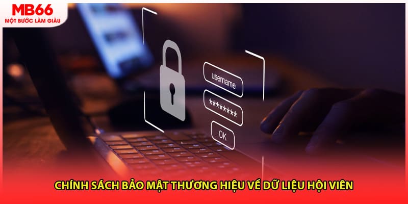 Chính sách bảo mật thương hiệu về dữ liệu hội viên