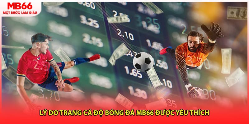 Lý do trang cá độ bóng đá MB66 được yêu thích