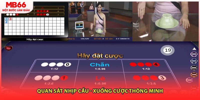 Quan sát nhịp cầu - Xuống cược thông minh
