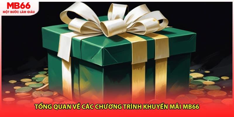 Tổng quan về các chương trình khuyến mãi MB66